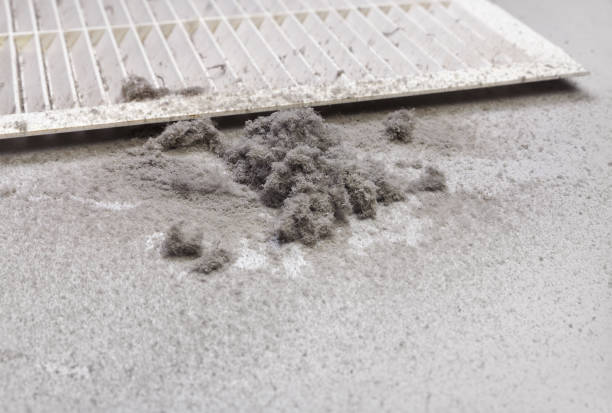 Best Professional Duct Cleaning Services  in Santa Paula, CA
